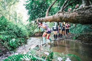 BIB: 
                            <button type="button" onclick="openModal(25477618)" class="btn btn-primary btn-sm float-right btn-popup" data-toggle="modal" data-target=".modal-high-quality">
                        <i class="fas fa-shopping-cart"></i> Add to Cart
                    </button>
                                            <button type="button" onclick="isThisMe(25477618, true)" class="btn btn-success btn-sm float-right btn-popup btn-isme hidden" data-toggle="tooltip" data-placement="bottom" title="นี่คือรูปของคุณใช่ไหม คลิกที่นี่เพื่อเอาเข้าอัลบั้ม">
                        <i class="fas fa-plus"></i> Add to album
                    </button>
                    <button type="button" onclick="isThisMe(25477618, false)" class="btn btn-warning btn-sm float-right btn-popup btn-isnotme hidden">
                        <i class="fas fa-ban"></i> Remove from album
                    </button>